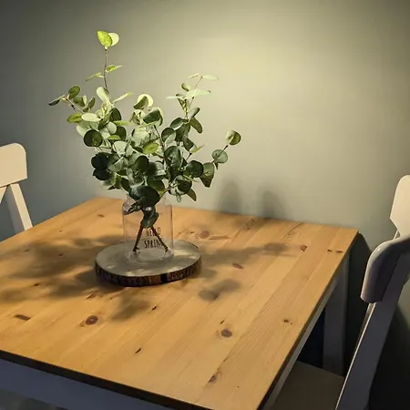 Bachmann Apartament Sinsheim