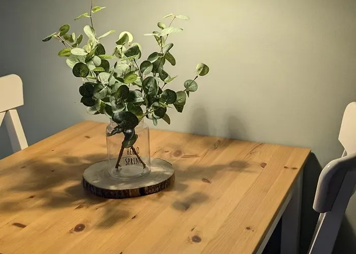 Bachmann Apartment Sinsheim